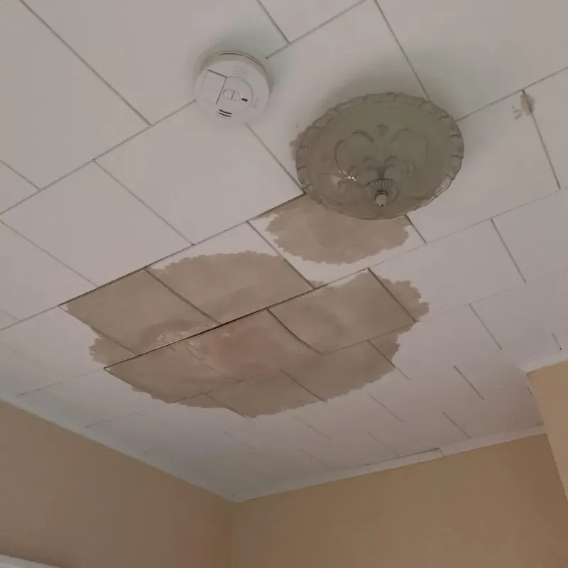 Ceiling Water Damage Repair in Hinesburg, VT
