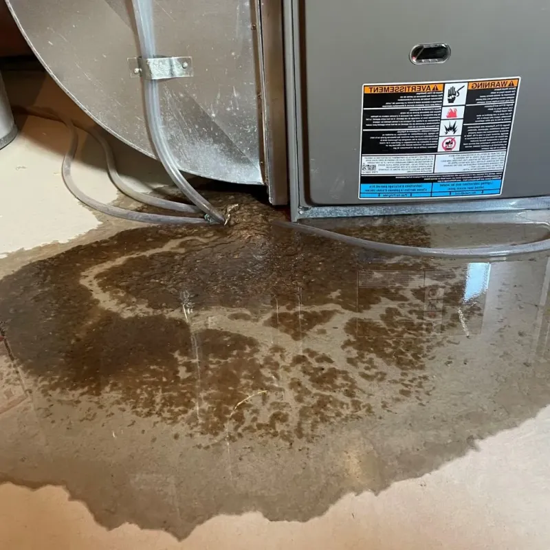 Pipe Burst and Leak Restoration in Hinesburg, VT