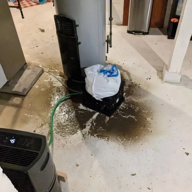 Sewage Backup Cleanup Service in Hinesburg, VT